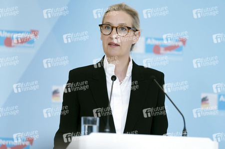 Fraktionssitzung der AfD-Bundestagsfraktion in Berlin