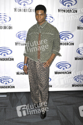 Photocall 'Scared to Death', WonderCon 2026 in Anaheim