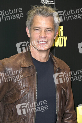 Filmpremiere 'Over Your Dead Body' in Los Angeles