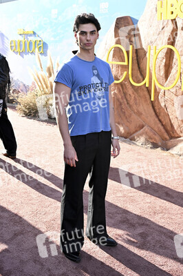 Season 3 Premiere 'Euphoria' in Los Angeles
