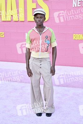 Filmpremiere 'Roommates' in Los Angeles