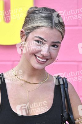 Filmpremiere 'Roommates' in Los Angeles