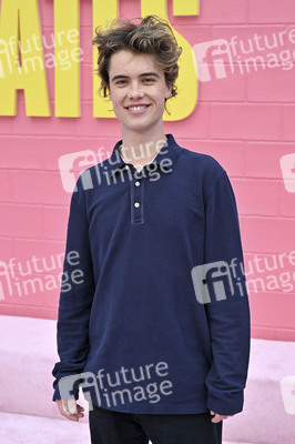 Filmpremiere 'Roommates' in Los Angeles
