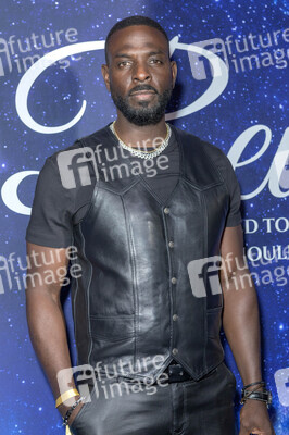 Filmpremiere 'Reunion' in Los Angeles