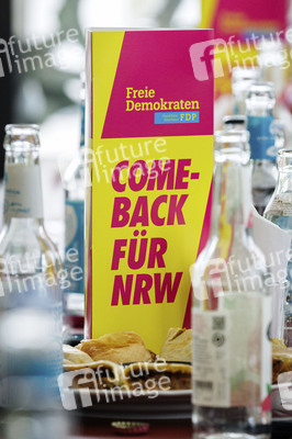 Pressegespräch im Vorfeld des FDP Landesparteitages in Düsseldorf