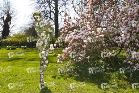 NATURE ART: Magnolien / Magnolias Bodypainting