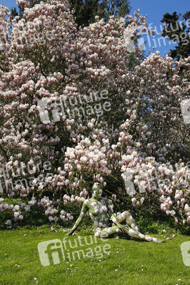 NATURE ART: Magnolien / Magnolias Bodypainting