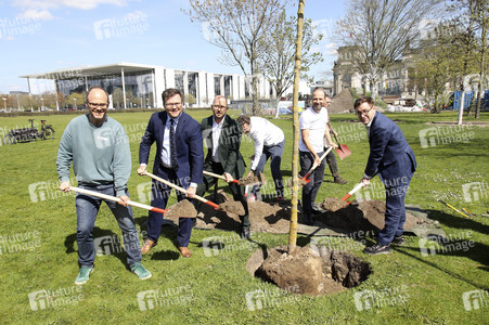 Baumpflanzaktion mit Carsten Schneider in Berlin