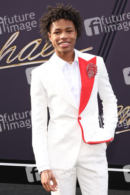 Filmpremiere 'Michael' in Los Angeles