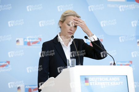 Fraktionssitzung der AfD-Bundestagsfraktion in Berlin