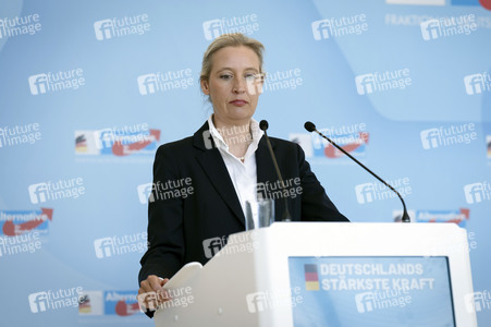 Fraktionssitzung der AfD-Bundestagsfraktion in Berlin