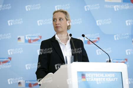Fraktionssitzung der AfD-Bundestagsfraktion in Berlin