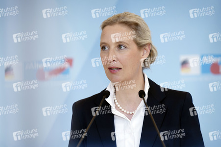 Fraktionssitzung der AfD-Bundestagsfraktion in Berlin