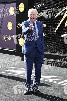 Filmpremiere 'Michael' in Los Angeles