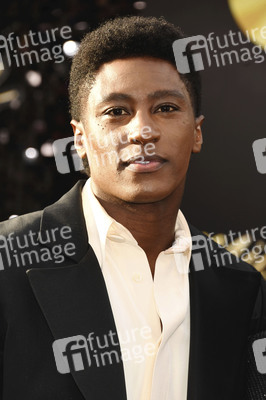 Filmpremiere 'Michael' in Los Angeles
