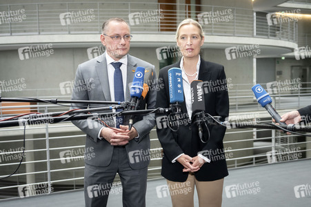 Fraktionsspitzentreffen der AfD-Fraktionen in Berlin