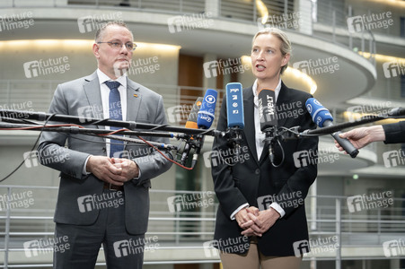 Fraktionsspitzentreffen der AfD-Fraktionen in Berlin