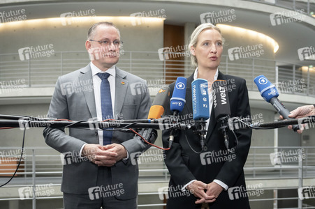 Fraktionsspitzentreffen der AfD-Fraktionen in Berlin