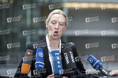 Fraktionsspitzentreffen der AfD-Fraktionen in Berlin