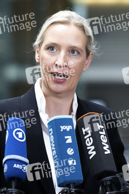 Fraktionsspitzentreffen der AfD-Fraktionen in Berlin