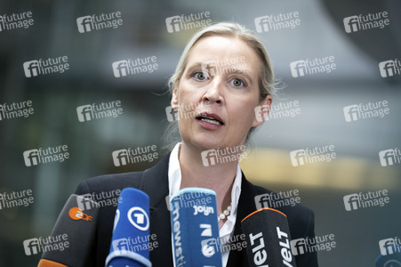 Fraktionsspitzentreffen der AfD-Fraktionen in Berlin