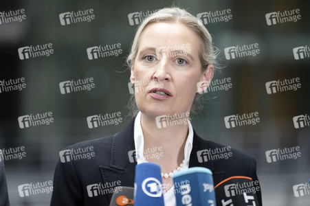 Fraktionsspitzentreffen der AfD-Fraktionen in Berlin