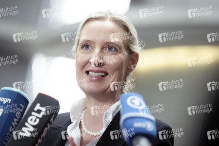 Fraktionsspitzentreffen der AfD-Fraktionen in Berlin
