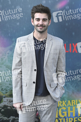 Filmpremiere 'Das Glück hat acht Arme' in Los Angeles