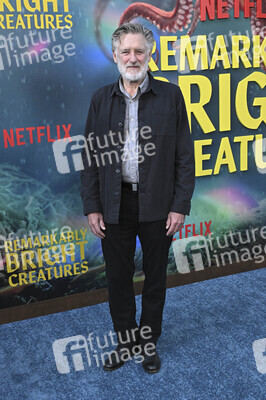 Filmpremiere 'Das Glück hat acht Arme' in Los Angeles