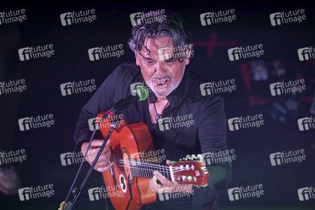 Konzert von Les Négresses Vertes in Hamburg