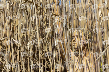 NATURE ART: Schilf / Reeds Bodypainting