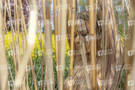 NATURE ART: Schilf / Reeds Bodypainting
