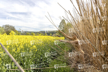 NATURE ART: Schilf / Reeds Bodypainting