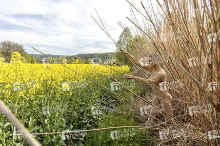 NATURE ART: Schilf / Reeds Bodypainting