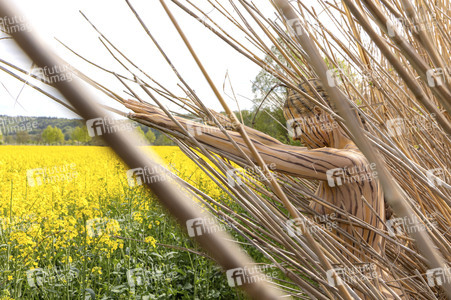 NATURE ART: Schilf / Reeds Bodypainting