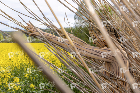 NATURE ART: Schilf / Reeds Bodypainting