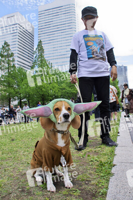 Star Wars Day in Yokohama