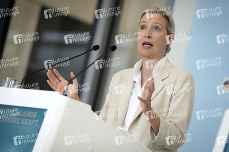 Fraktionssitzung der AfD-Bundestagsfraktion in Berlin