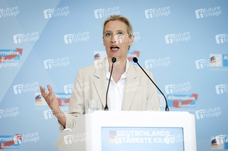 Fraktionssitzung der AfD-Bundestagsfraktion in Berlin