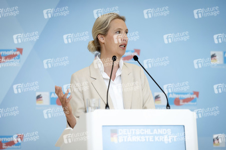 Fraktionssitzung der AfD-Bundestagsfraktion in Berlin