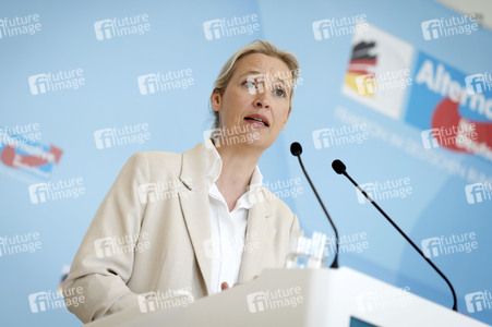 Fraktionssitzung der AfD-Bundestagsfraktion in Berlin