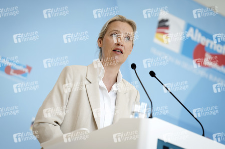 Fraktionssitzung der AfD-Bundestagsfraktion in Berlin