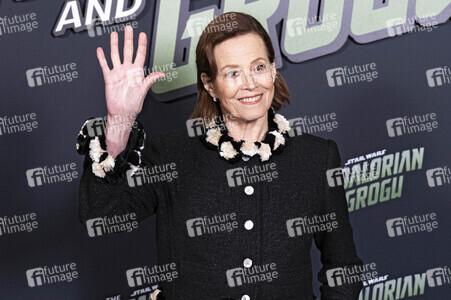 Fan Event 'Star Wars: The Mandalorian and Grogu' in Paris
