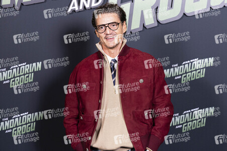 Fan Event 'Star Wars: The Mandalorian and Grogu' in Paris