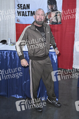 Comic Con Revolution in Ontario