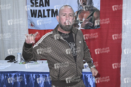 Comic Con Revolution in Ontario