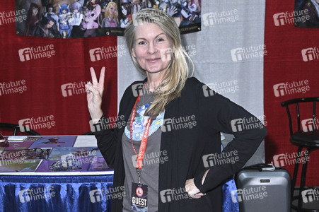 Comic Con Revolution in Ontario