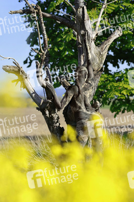 NATURE ART: Trockenbirke / Dried Birch Bodypainting