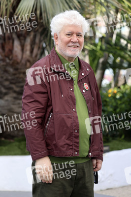 Photocall 'Bitter Christmas', Cannes Film Festival 2026