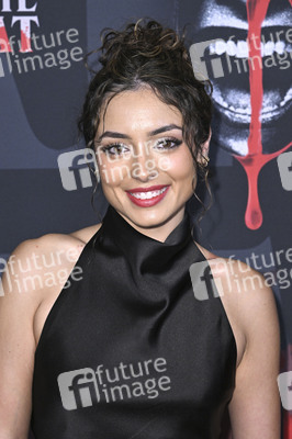 Filmpremiere 'Corporate Retreat' in Burbank